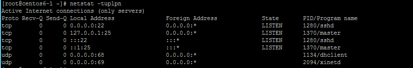 netstat -tulpn