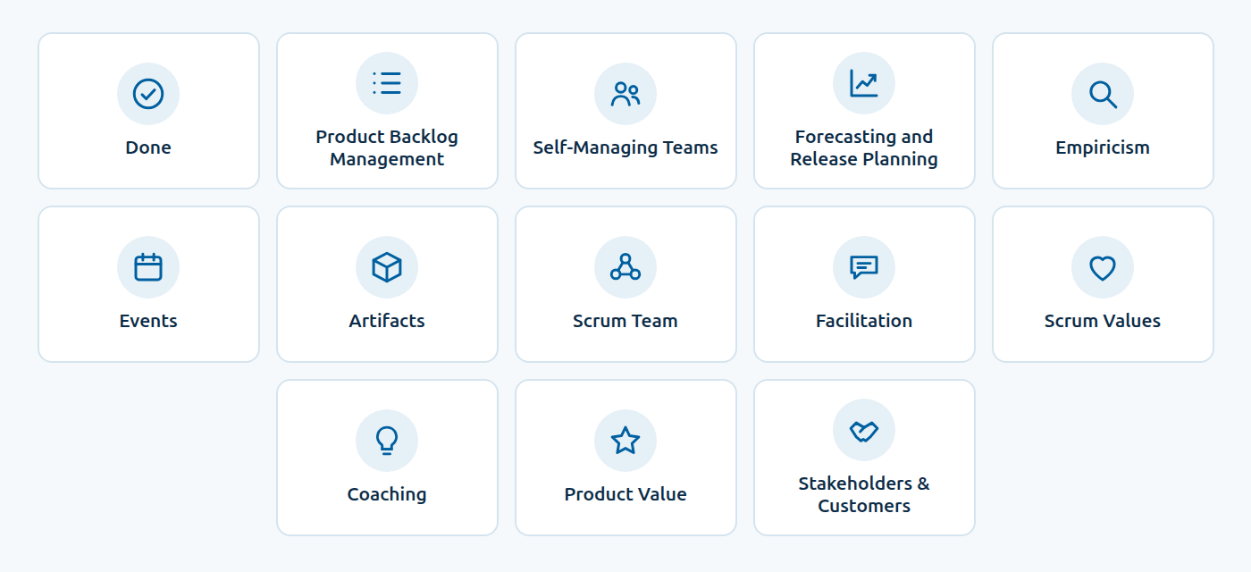 The 13 PSM I focus areas: Done, Product Backlog Management, Self-Managing Teams, Forecasting and Release Planning, Empiricism, Events, Artifacts, Scrum Team, Facilitation, Scrum Values, Coaching, Product Value, Stakeholders and Customers